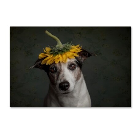 Trademark Fine Art
